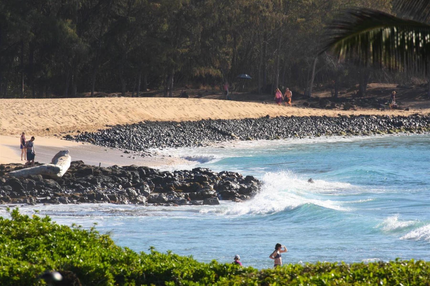 Poipu Sands 513 - Ocean Front Koloa Exterior photo