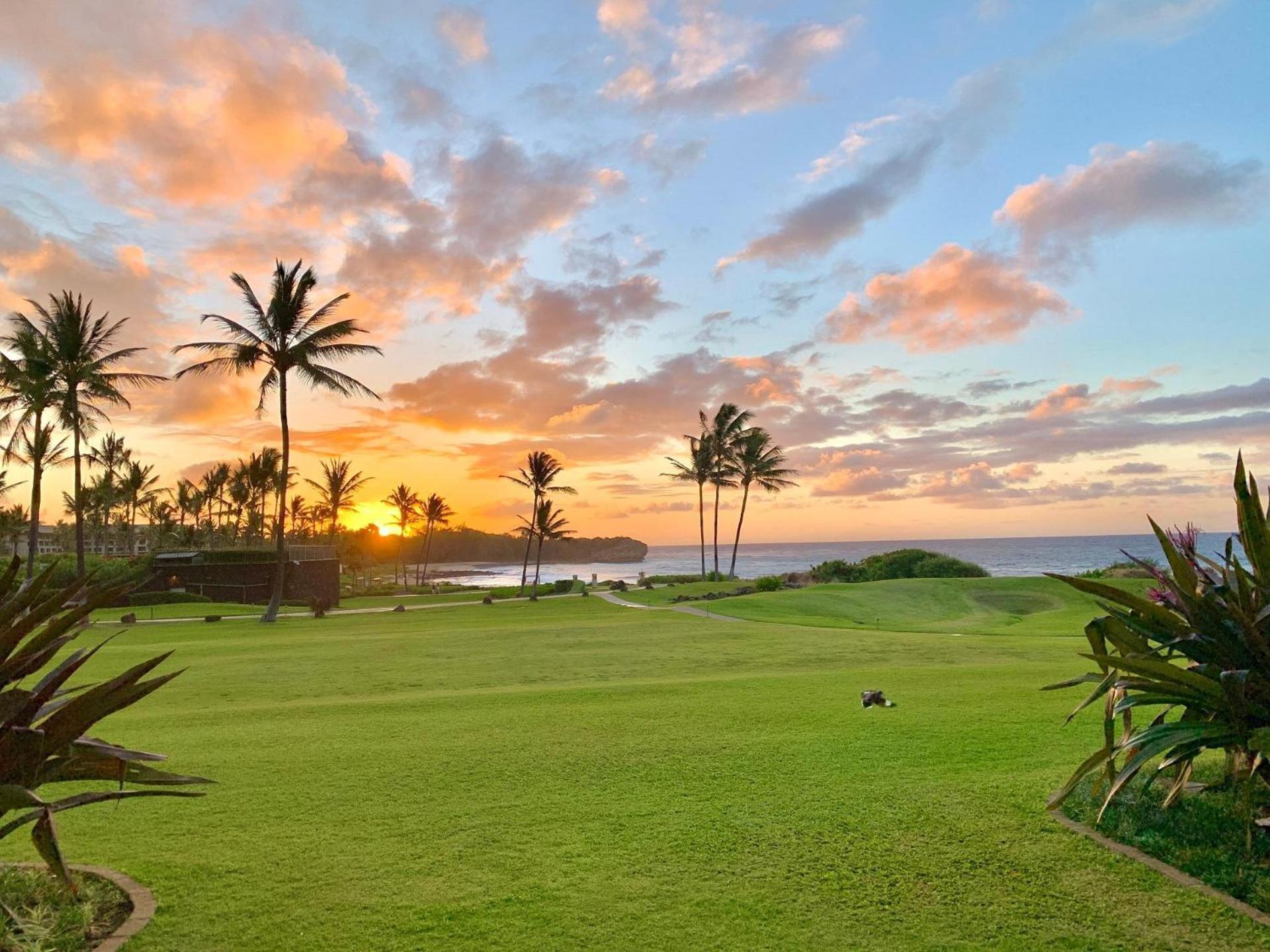 Poipu Sands 513 - Ocean Front Koloa Exterior photo